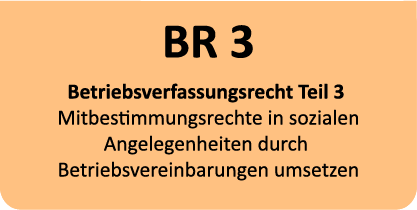 Empfehlung für den Bildungsplan - Betriebsverfassungsrecht Teil 3
